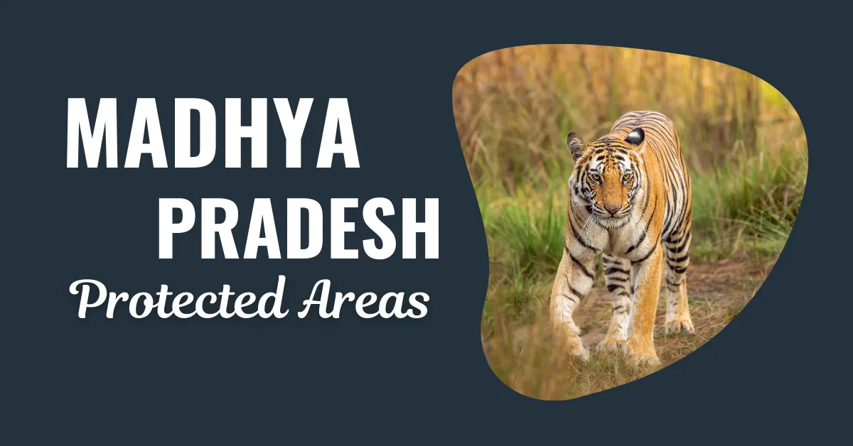 List Of Protected Areas Of Madhya Pradesh Affairshub