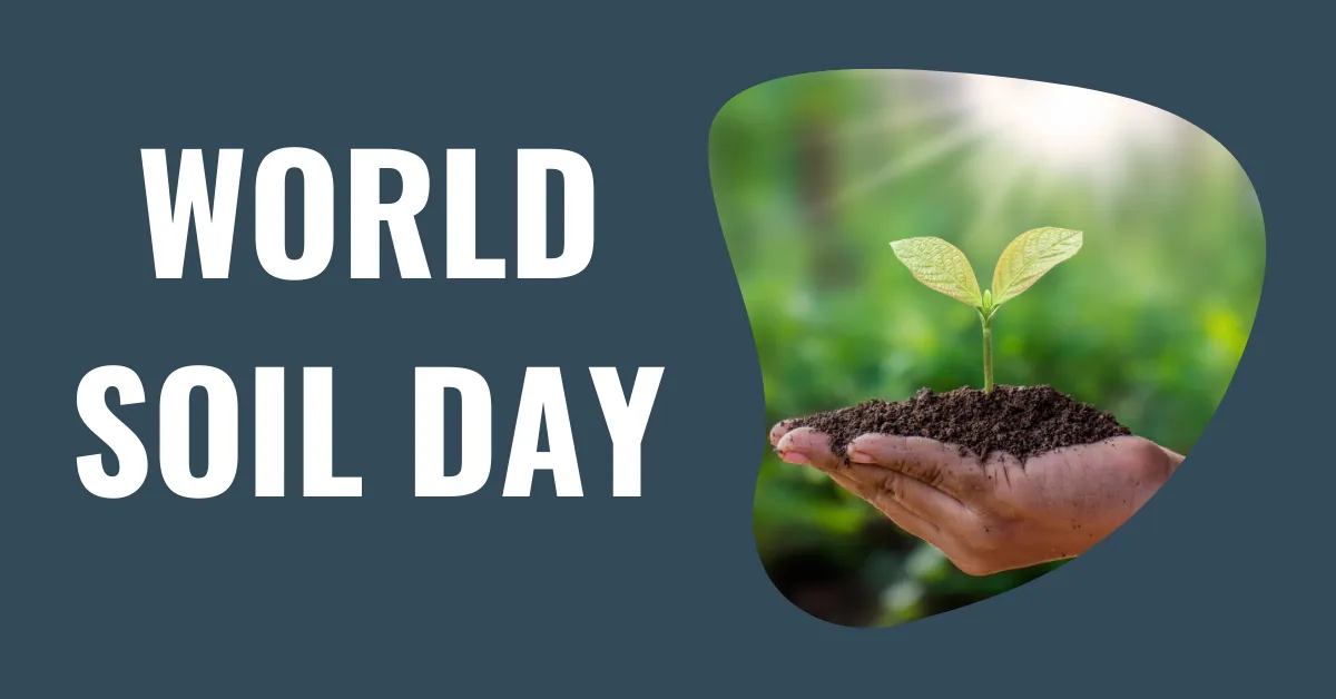 Why Healthy Soil Matters World Soil Day 2024 Insights » AffairsHub